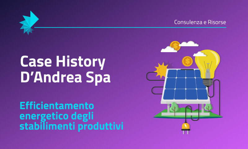 Case History D'Andrea Spa