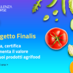 progetto-finalis-prev