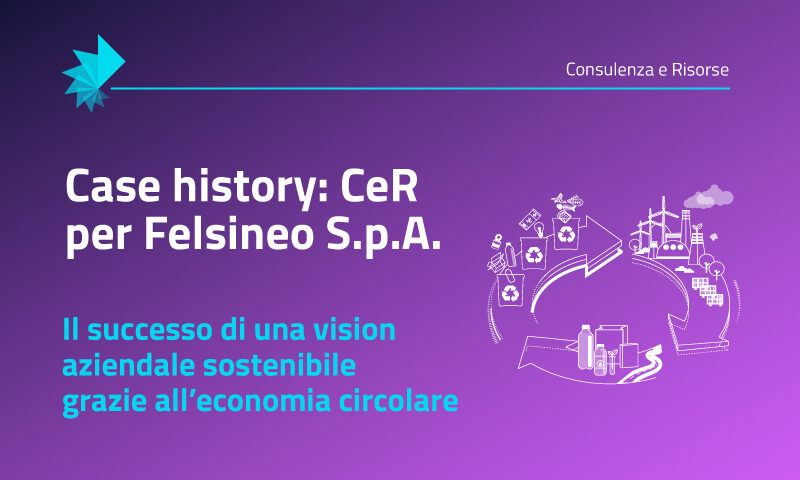 Felsineo-SPA (1)