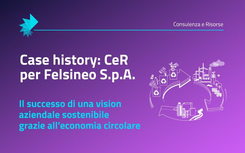 Felsineo-SPA (1)
