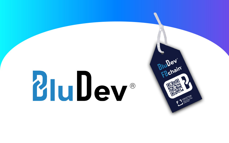bludev-white-paper