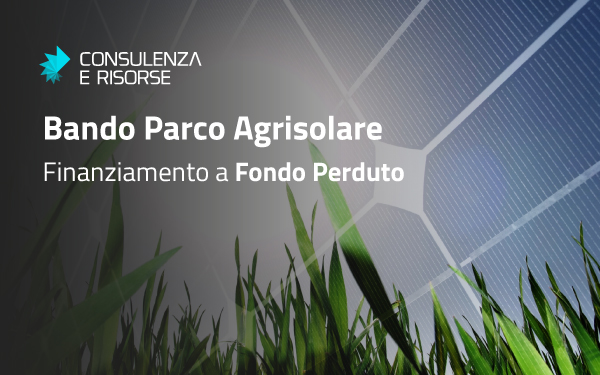 Bando-parco-tip-banner (2)