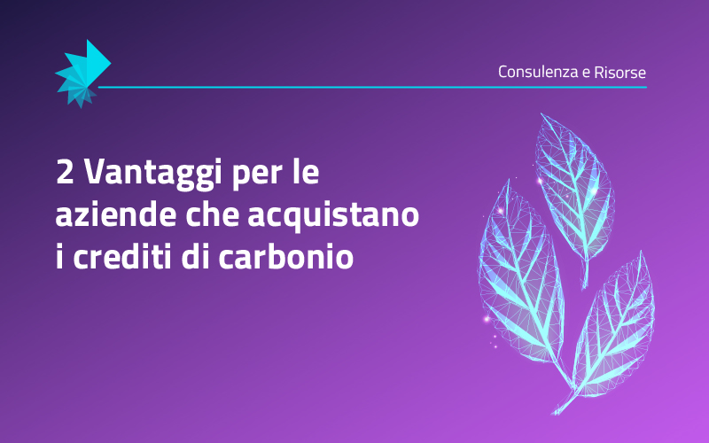 2-vantaggi-aziende-credito-carbonio-main