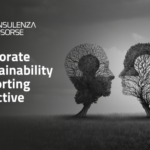 Corporate Sustainability Reporting Directive