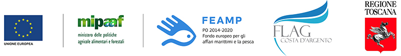 progetto ferst