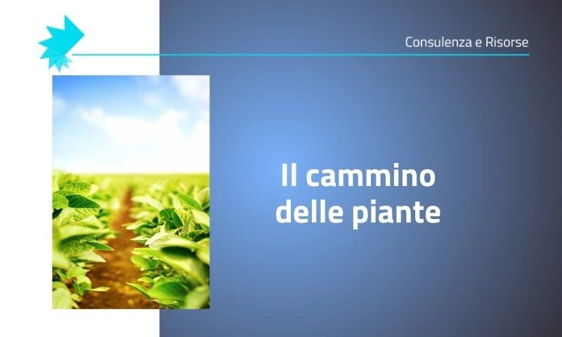 biodiversità e cambiamento climatico