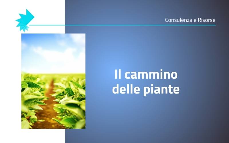 biodiversità e cambiamento climatico