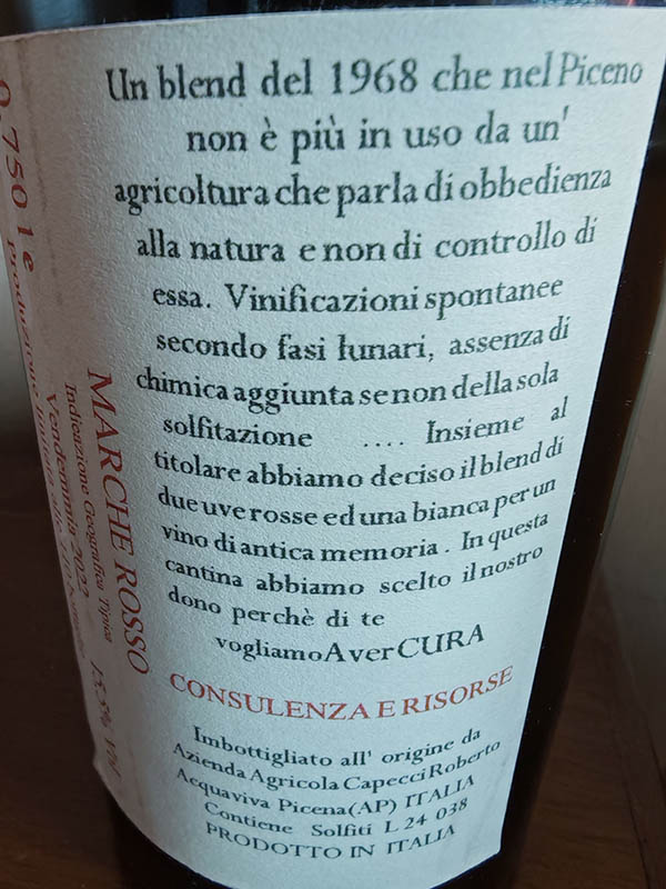 natale consulenza e risorse