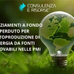 finanza agevolata e sostenibilità