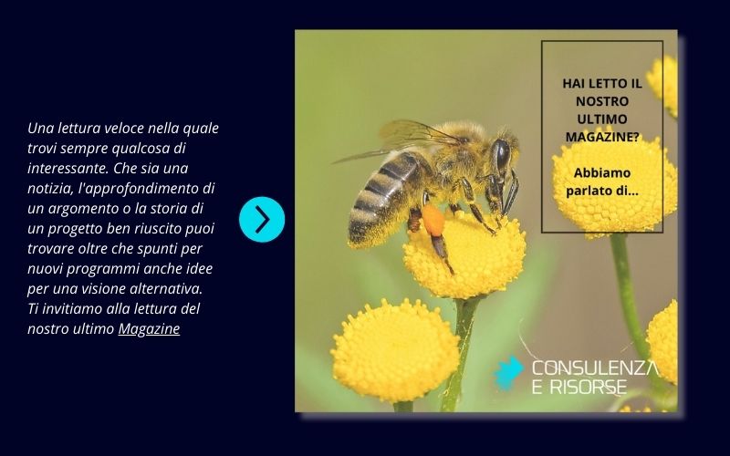 magazine di consulenza e risorse