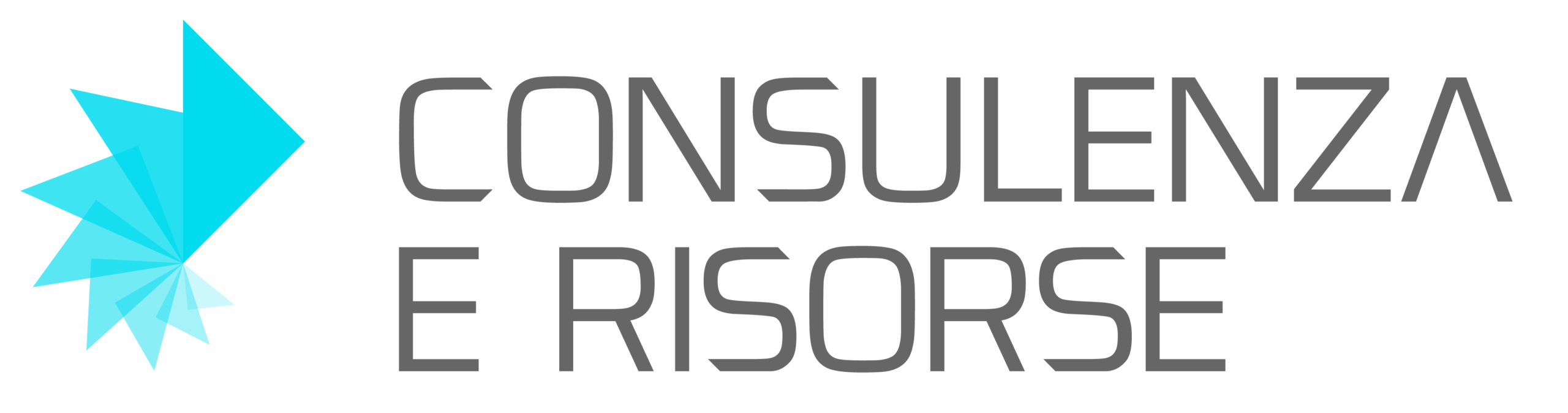 Consulenza e Risorse