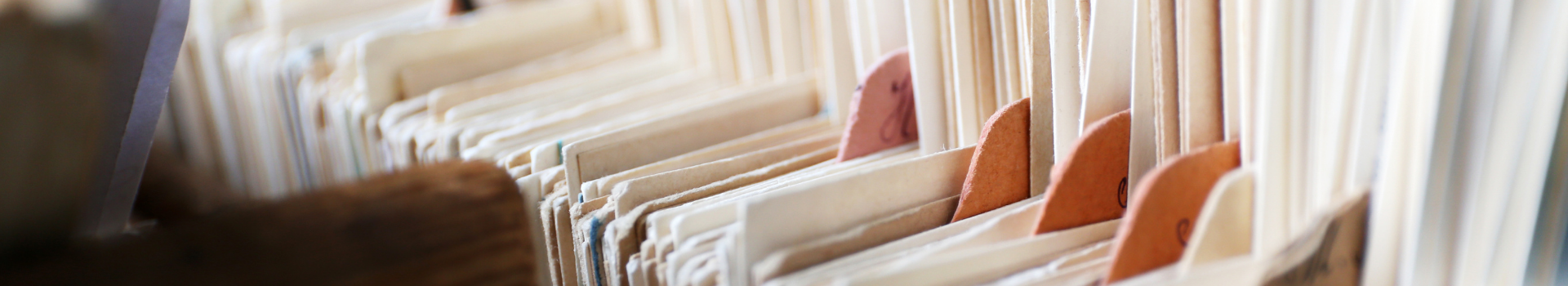 catalogo contenuti